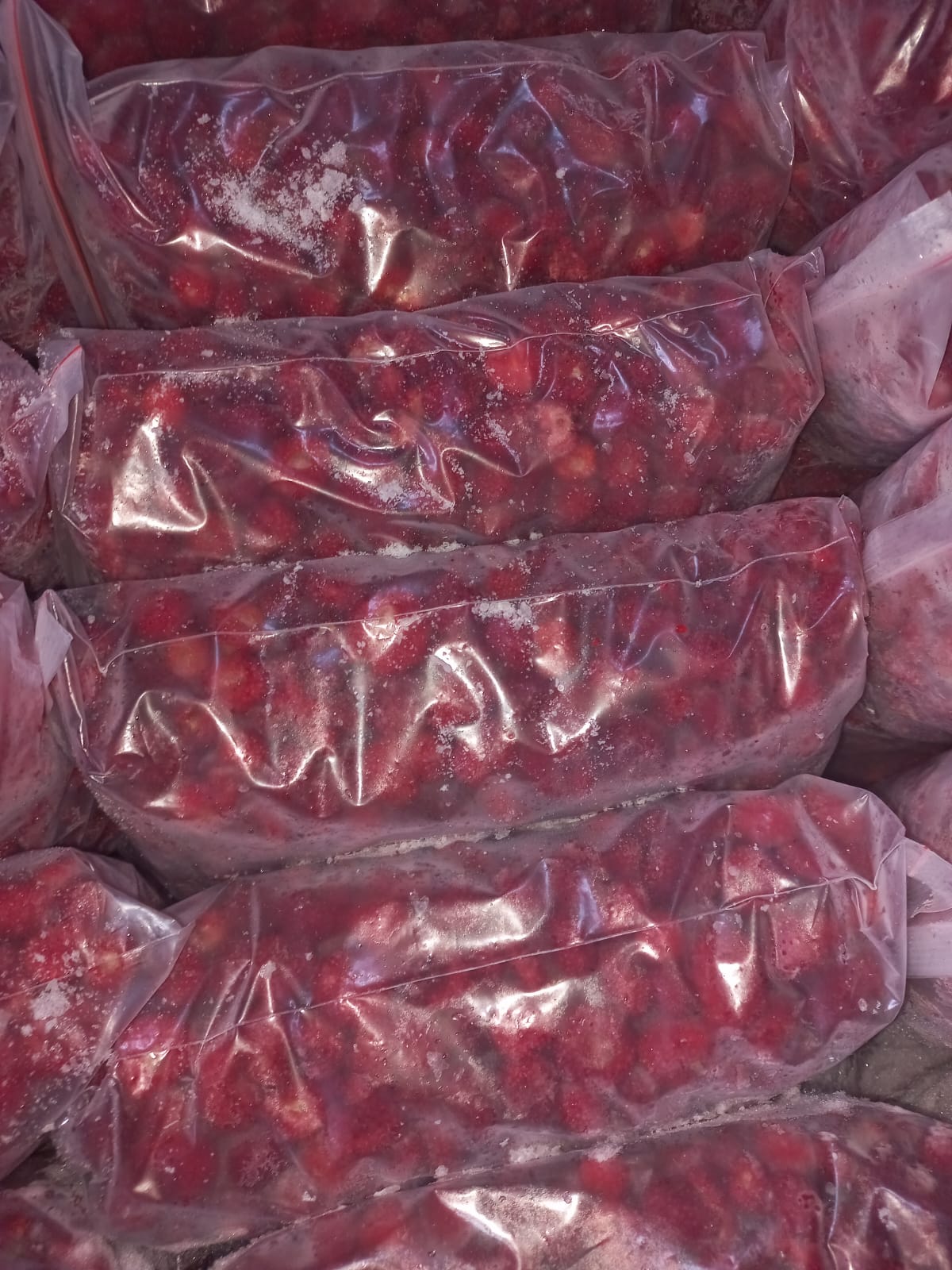 Fresh & Frozen Fruits & Vegetables - Photo 4