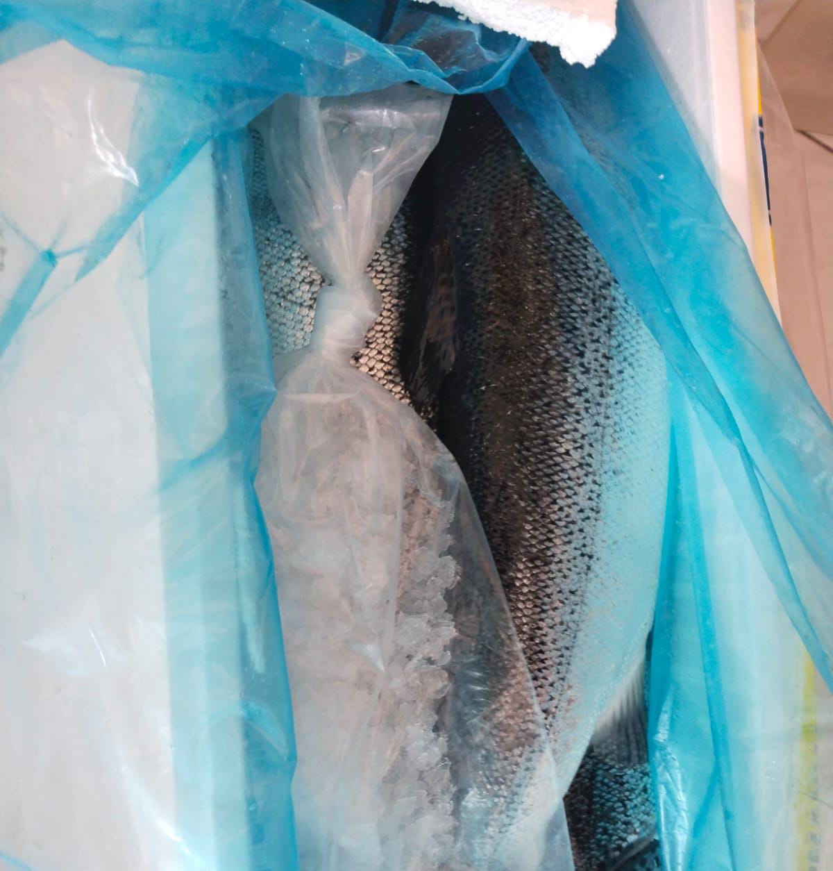 Good handling with right temperature - Photo 2