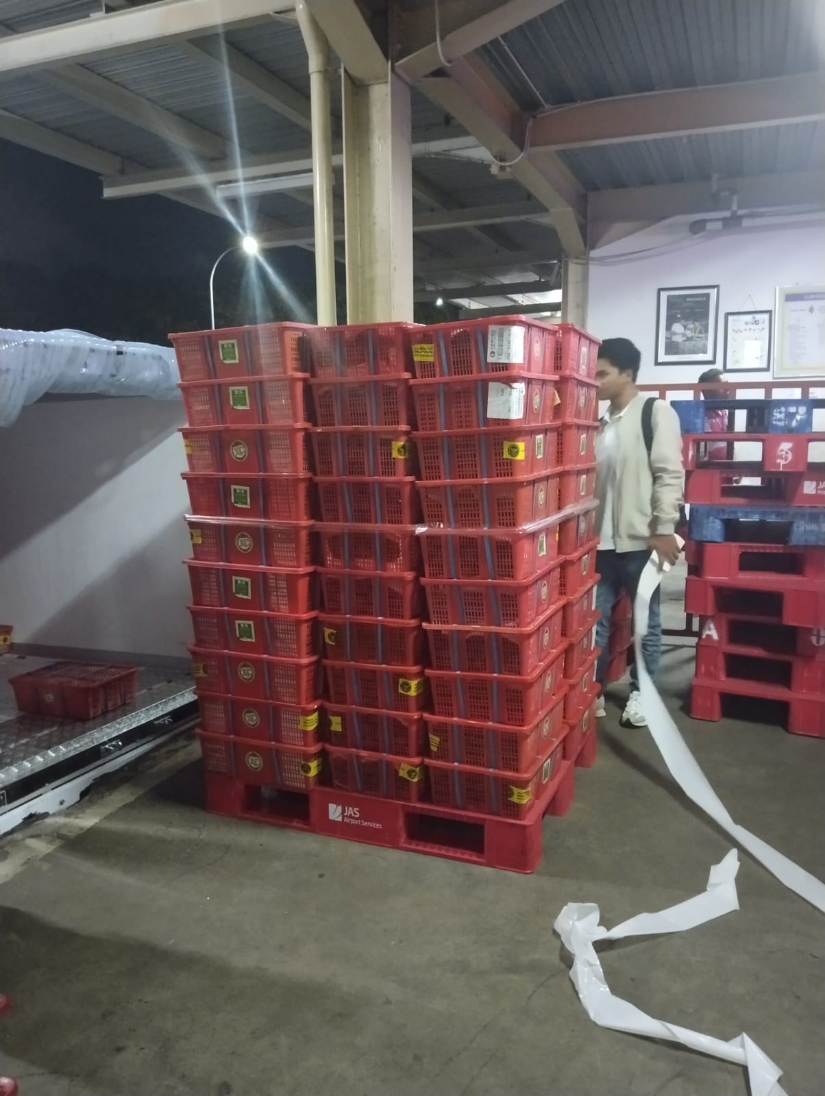 Premium services eksport fruit to airport - Photo 4